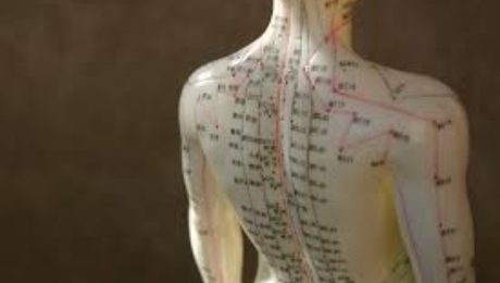 Acupuncture Points and their Specific Treatment | Body Option Clinic
