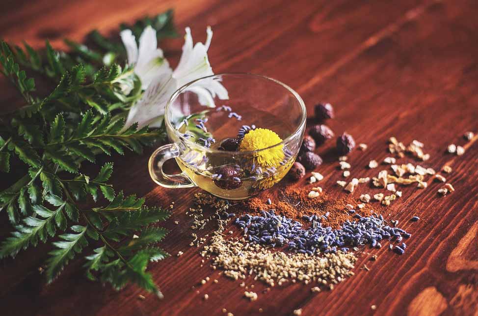 herbal remedies in the tea | Body Option Clinic